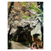 ヒメ日記 2025/03/31 22:07 投稿 ゆずは ハピネス東京