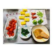 ヒメ日記 2025/04/24 06:57 投稿 ゆずは ハピネス東京