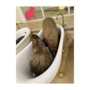 ヒメ日記 2025/05/14 07:08 投稿 ゆずは ハピネス東京