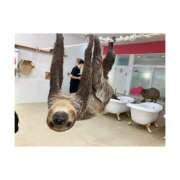 ヒメ日記 2025/05/24 10:12 投稿 ゆずは ハピネス東京