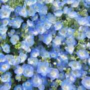 ヒメ日記 2025/07/22 20:55 投稿 みこ S級しろうと娘