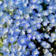 みこ 明日 S級しろうと娘