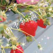 ヒメ日記 2025/03/11 17:45 投稿 かぐら 千葉人妻セレブリティ（ユメオト）