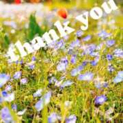 ヒメ日記 2025/04/07 13:47 投稿 かぐら 千葉人妻セレブリティ（ユメオト）