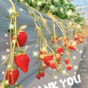 かぐら 御予約満了！ 千葉人妻セレブリティ（ユメオト）