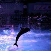 ヒメ日記 2025/05/08 18:44 投稿 ゆうり 千葉松戸ちゃんこ