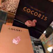 ゆうり ありがとうございます！ 千葉松戸ちゃんこ