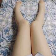 ヒメ日記 2025/02/26 07:35 投稿 なお 無我（むが）