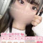 ヒメ日記 2025/02/19 19:05 投稿 あやか ぷるるんギャング