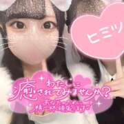 ヒメ日記 2025/03/14 08:05 投稿 あやか ぷるるんギャング