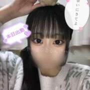 ヒメ日記 2025/03/14 17:15 投稿 あやか ぷるるんギャング