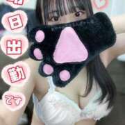 ヒメ日記 2025/03/15 20:05 投稿 あやか ぷるるんギャング