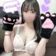 ヒメ日記 2025/03/22 11:45 投稿 あやか ぷるるんギャング