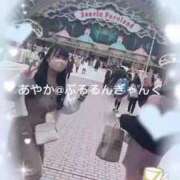 ヒメ日記 2025/03/31 08:48 投稿 あやか ぷるるんギャング