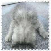 ヒメ日記 2025/06/08 20:55 投稿 あやか ぷるるんギャング