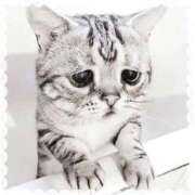 ヒメ日記 2025/09/01 18:05 投稿 あやか ぷるるんギャング