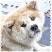 ヒメ日記 2025/09/02 18:05 投稿 あやか ぷるるんギャング