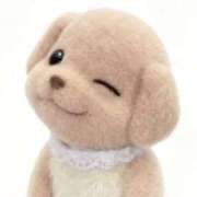 ヒメ日記 2025/10/12 09:45 投稿 あやか ぷるるんギャング