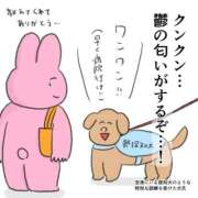 ヒメ日記 2025/12/07 10:35 投稿 あやか ぷるるんギャング