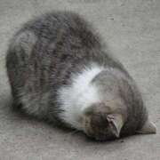 ヒメ日記 2025/12/08 18:45 投稿 あやか ぷるるんギャング