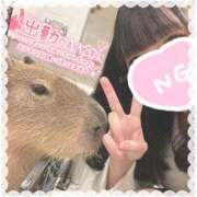 ヒメ日記 2025/12/21 09:35 投稿 あやか ぷるるんギャング