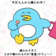 ヒメ日記 2026/03/15 12:05 投稿 あやか ぷるるんギャング