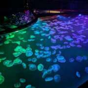 ヒメ日記 2025/03/02 12:03 投稿 あんり 奥様の実話 なんば店