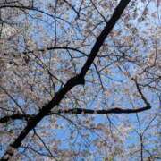 ヒメ日記 2025/04/10 10:59 投稿 あんり 奥様の実話 なんば店