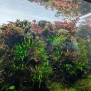 ヒメ日記 2025/05/17 10:59 投稿 あんり 奥様の実話 なんば店