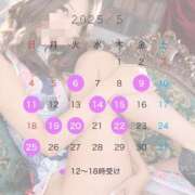 ヒメ日記 2025/05/03 17:53 投稿 あおい VIP