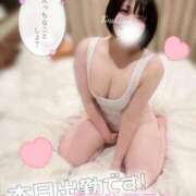 つきの 1番きもちいいこと ぽっちゃり巨乳素人専門　西船橋ちゃんこ