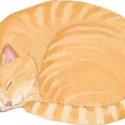 ヒメ日記 2024/12/14 15:59 投稿 ゆきな ニューヨークニューヨーク