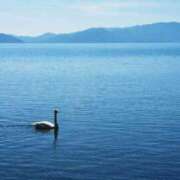 ヒメ日記 2024/12/22 15:57 投稿 ゆきな ニューヨークニューヨーク