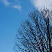 ヒメ日記 2025/01/17 15:59 投稿 ゆきな ニューヨークニューヨーク