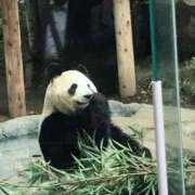 ヒメ日記 2025/01/18 16:15 投稿 ゆきな ニューヨークニューヨーク