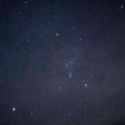 ヒメ日記 2025/01/19 20:11 投稿 ゆきな ニューヨークニューヨーク