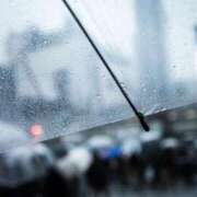 ヒメ日記 2025/02/02 16:01 投稿 ゆきな ニューヨークニューヨーク