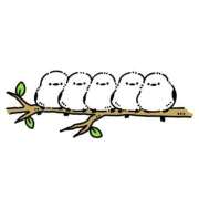 ヒメ日記 2025/02/03 15:57 投稿 ゆきな ニューヨークニューヨーク