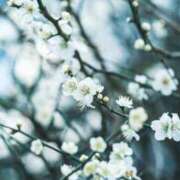 ヒメ日記 2025/03/03 16:05 投稿 ゆきな ニューヨークニューヨーク