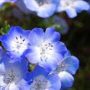 ヒメ日記 2025/03/10 22:02 投稿 ゆきな ニューヨークニューヨーク