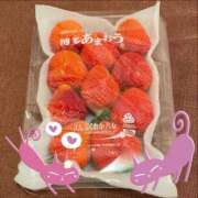 ヒメ日記 2025/03/14 22:02 投稿 ゆきな ニューヨークニューヨーク