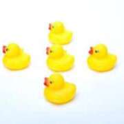 ヒメ日記 2025/03/15 20:55 投稿 ゆきな ニューヨークニューヨーク