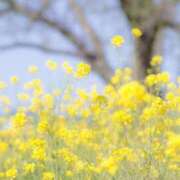 ヒメ日記 2025/03/17 15:59 投稿 ゆきな ニューヨークニューヨーク