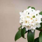 ヒメ日記 2025/03/28 22:45 投稿 ゆきな ニューヨークニューヨーク