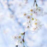 ヒメ日記 2025/04/04 15:57 投稿 ゆきな ニューヨークニューヨーク