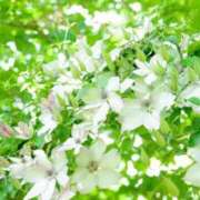 ヒメ日記 2025/04/21 15:54 投稿 ゆきな ニューヨークニューヨーク