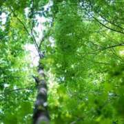 ヒメ日記 2025/05/03 16:01 投稿 ゆきな ニューヨークニューヨーク