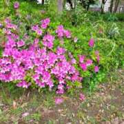 ヒメ日記 2025/05/04 16:59 投稿 ゆきな ニューヨークニューヨーク