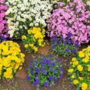 ヒメ日記 2025/05/10 16:14 投稿 ゆきな ニューヨークニューヨーク