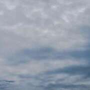 ヒメ日記 2025/05/12 16:01 投稿 ゆきな ニューヨークニューヨーク